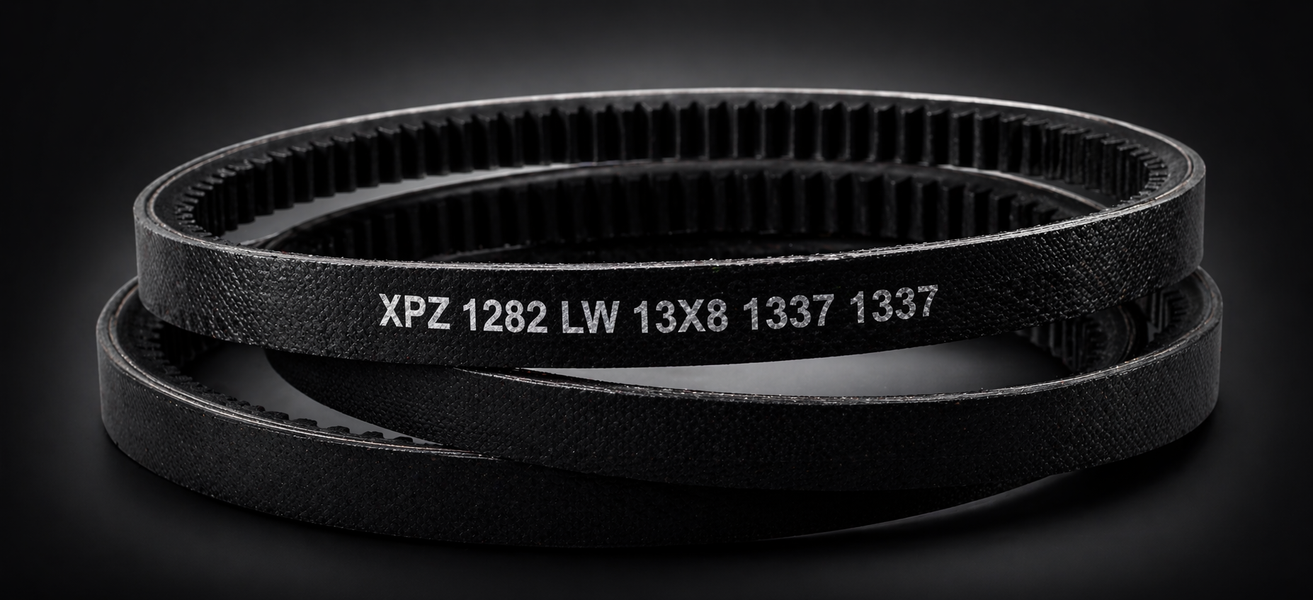 CORREAS QUE NO FALLAN